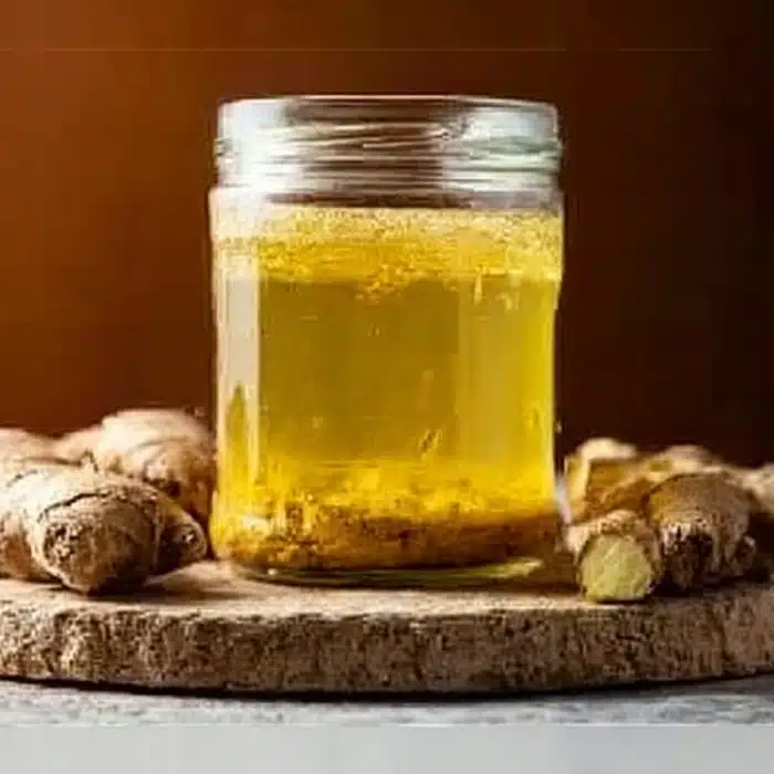 ginger bug recipe​