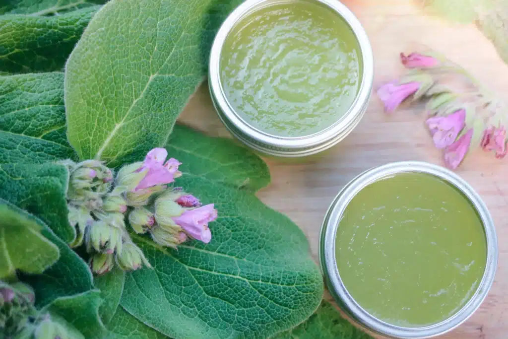comfrey salve recipe