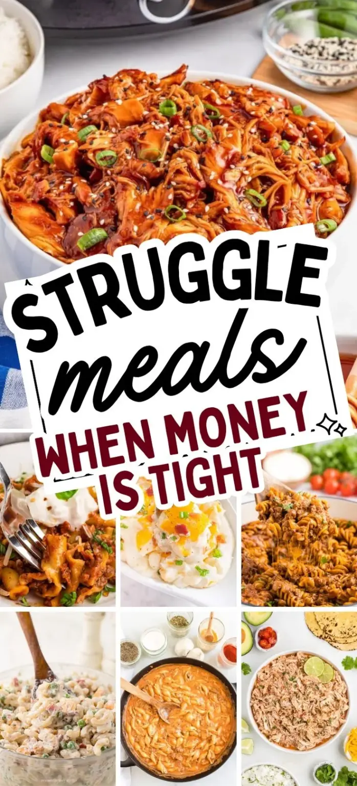 Delicious budget-friendly struggle meals that are easy to prepare.
