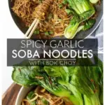 Plate of spicy garlic soba noodles topped with bok choy and garnished with herbs