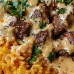 Plate of irresistible steak queso rice topped with cheese and spices